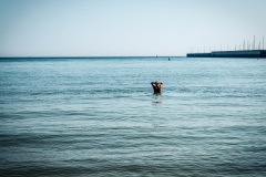 Mit dem SUP nach Helgoland | Christo Foerster