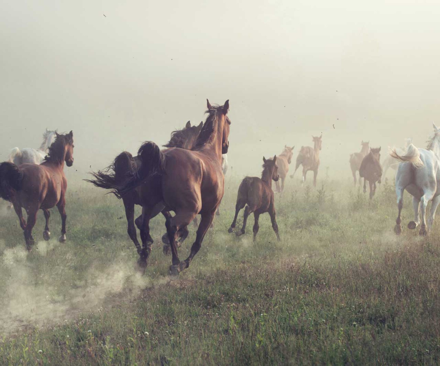 Smarte Ziele erreichen