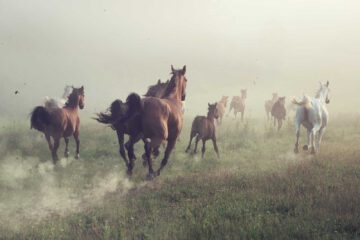 Smarte Ziele erreichen